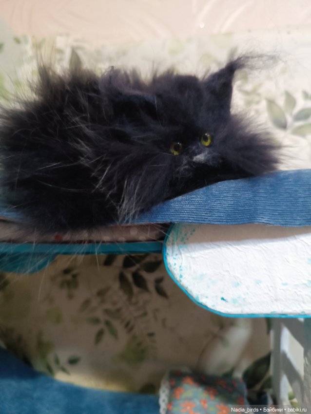 Самые чёрные из черных-ведьмокоты (фото 9)