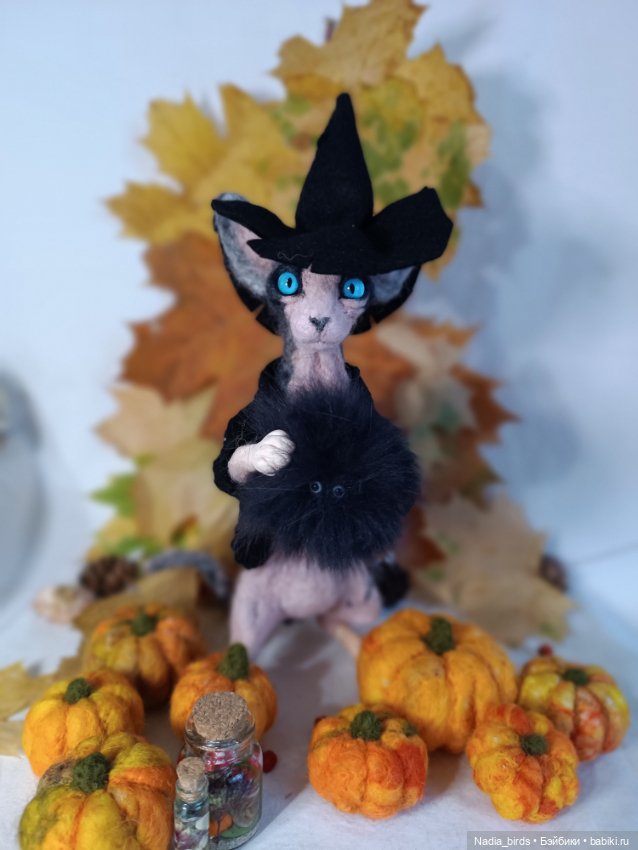 Самые чёрные из черных-ведьмокоты