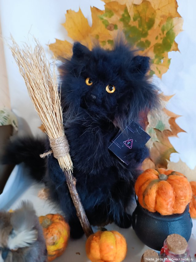 Самые чёрные из черных-ведьмокоты