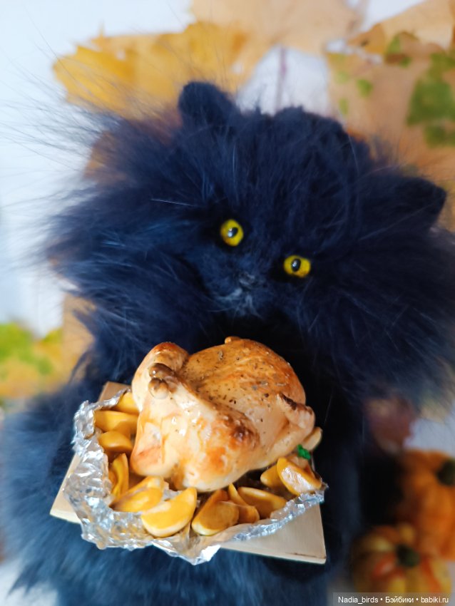 Самые чёрные из черных-ведьмокоты (фото 10)