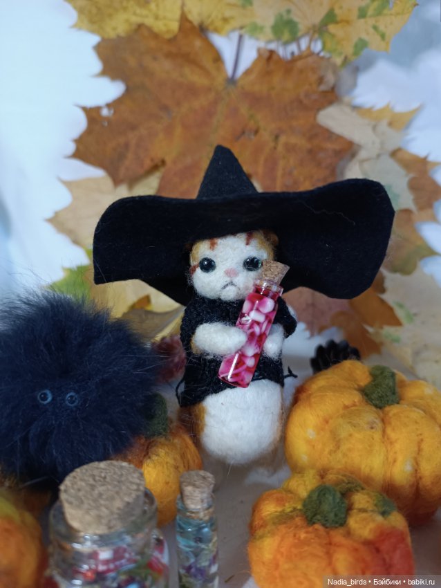 Самые чёрные из черных-ведьмокоты