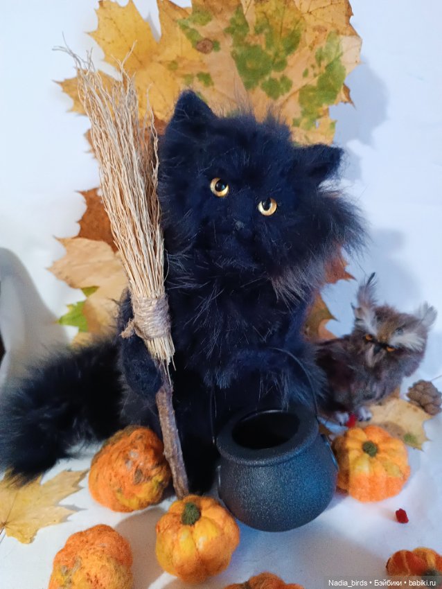 Самые чёрные из черных-ведьмокоты