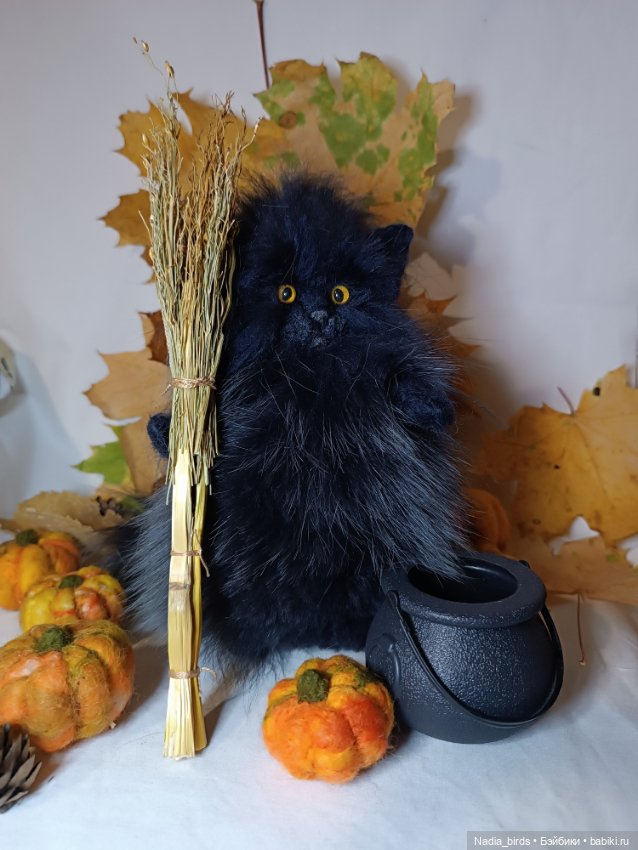 Самые чёрные из черных-ведьмокоты