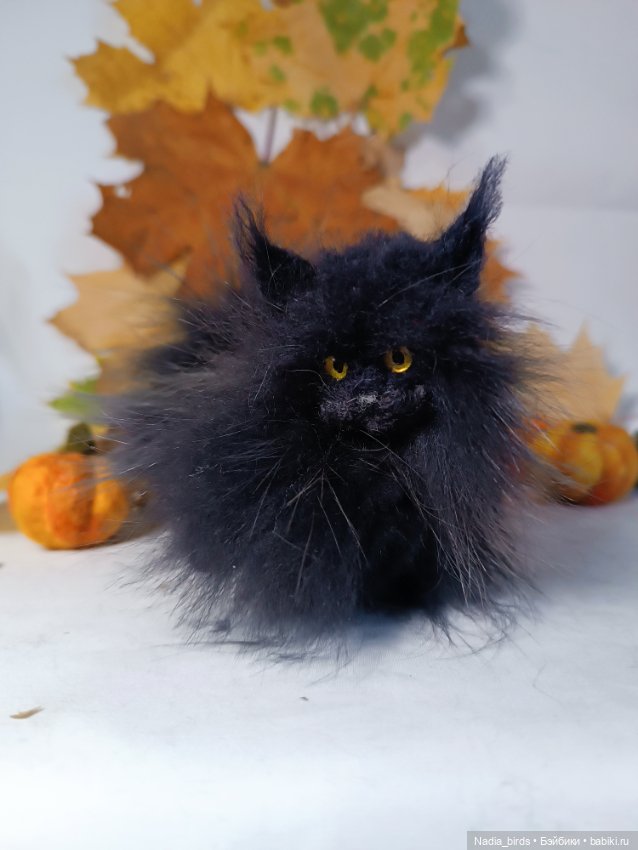 Самые чёрные из черных-ведьмокоты