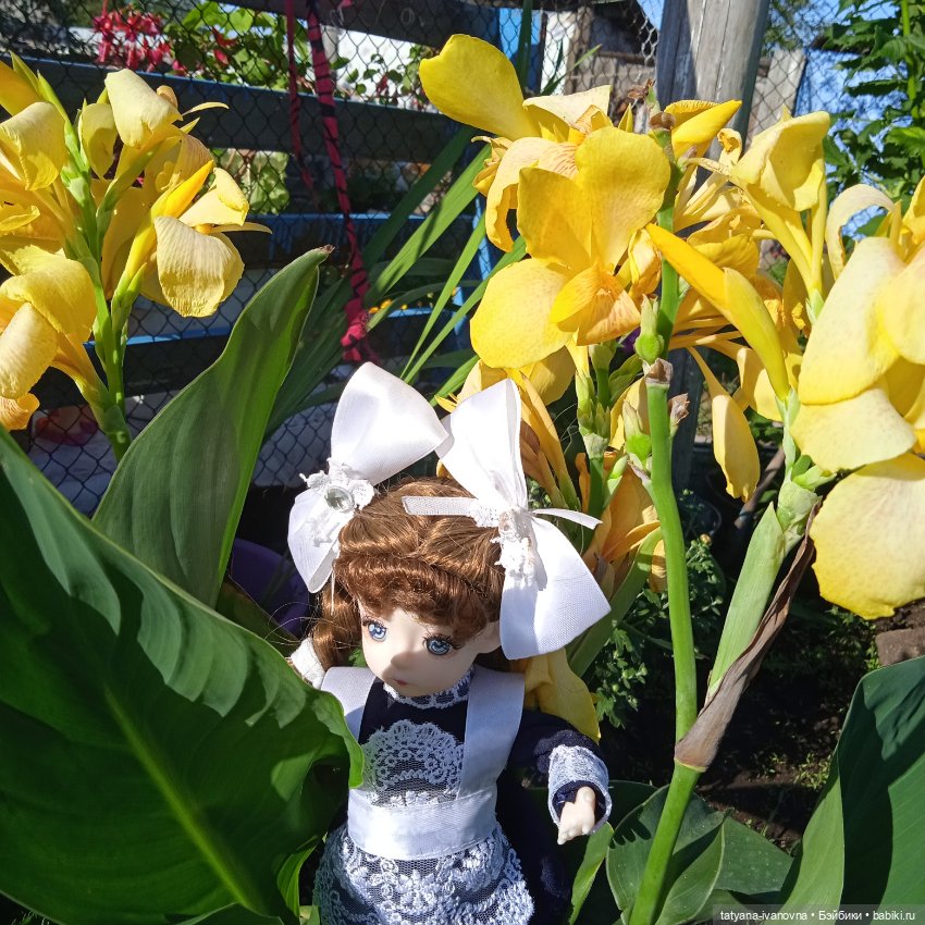 1 сентября -день знаний — Игровые куклы разных производителей (Разное): редкие бренды