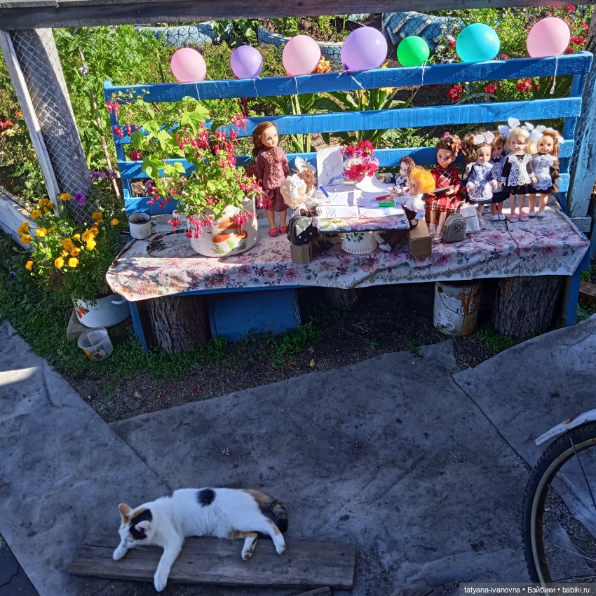 1 сентября -день знаний — Игровые куклы разных производителей (Разное): редкие бренды