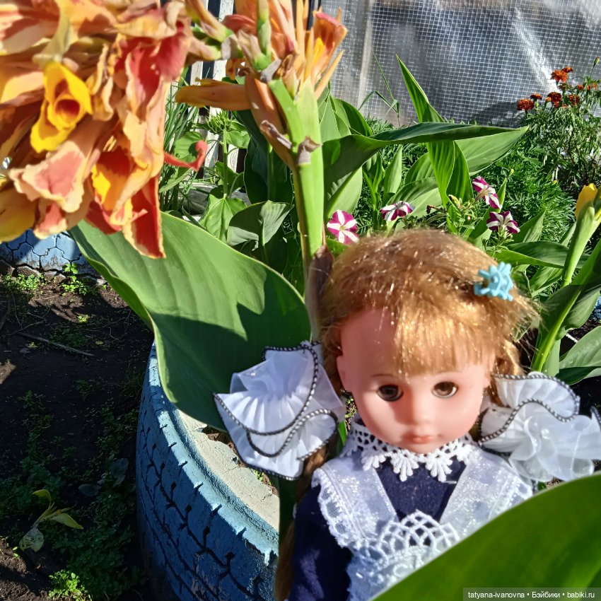 1 сентября -день знаний — Игровые куклы разных производителей (Разное): редкие бренды