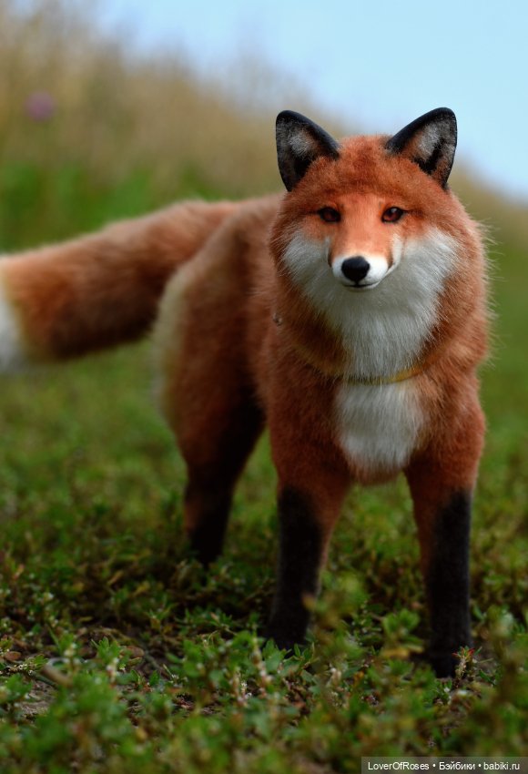 ЖИЛИ-БЫЛИ "Сказка о том, как Кощеич свое войско собирал" (фото 3)