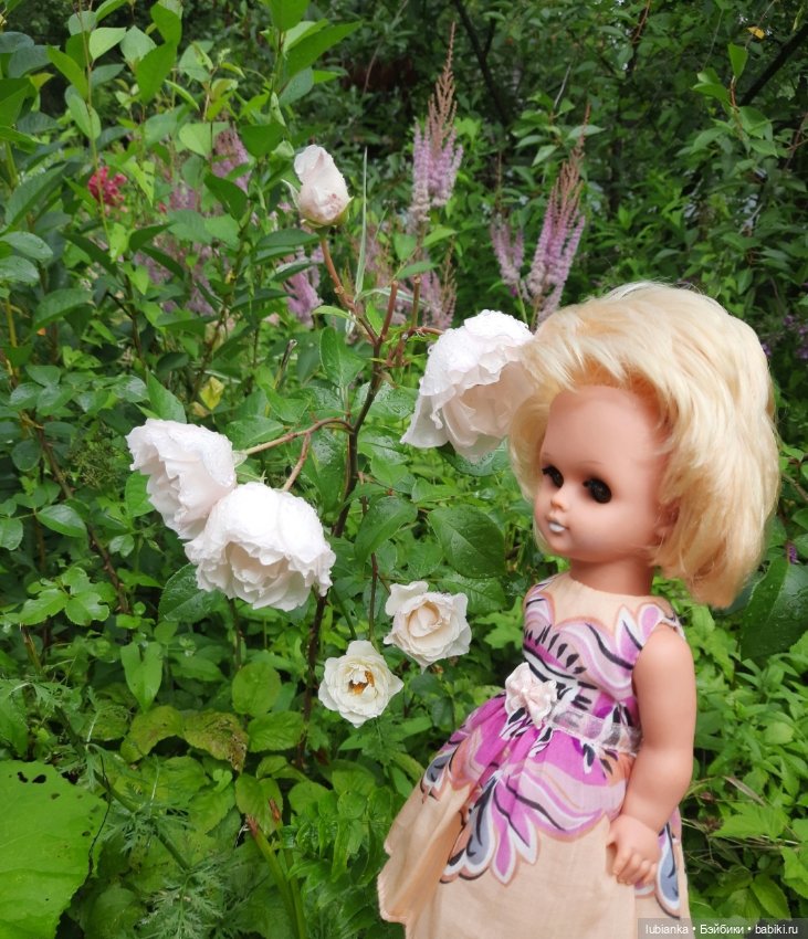 Белла (листая летние фото) (фото 10)