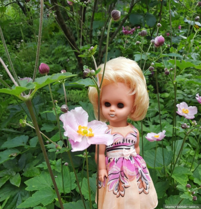 Белла (листая летние фото)