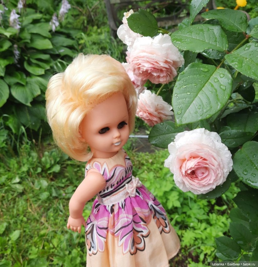 Белла (листая летние фото)