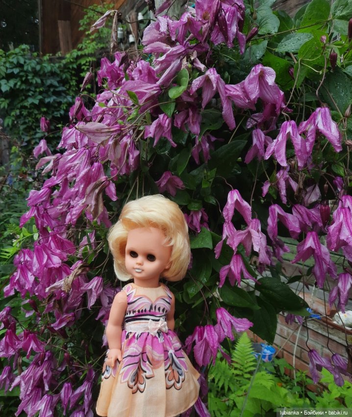 Белла (листая летние фото)