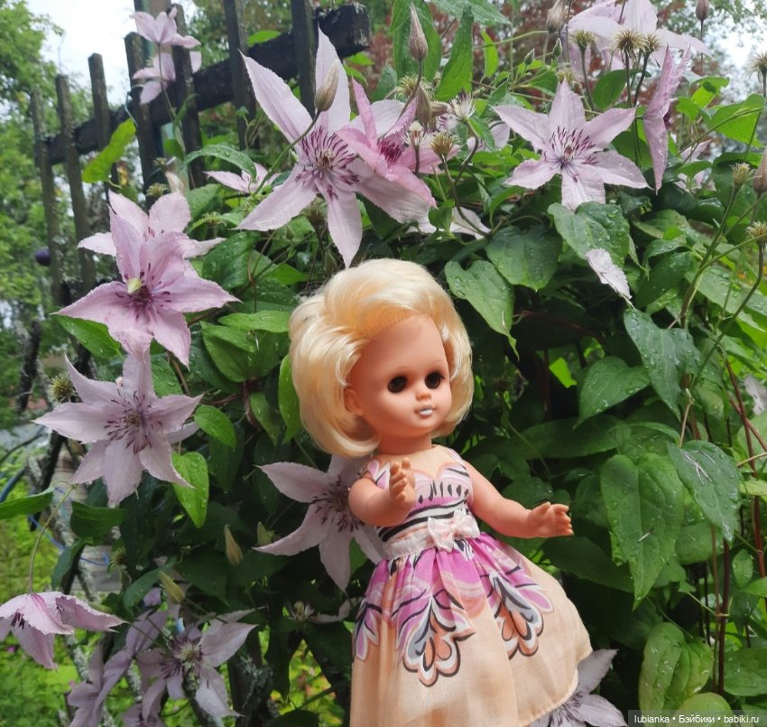 Белла (листая летние фото) (фото 5)