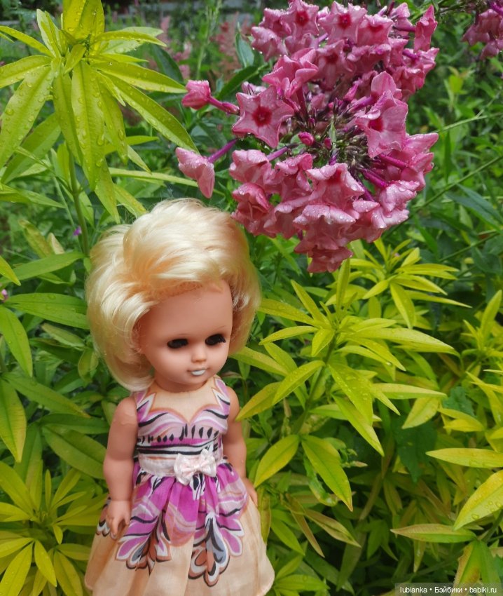 Белла (листая летние фото)