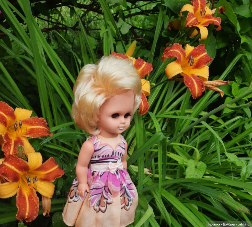 Белла (листая летние фото) (фото 8)