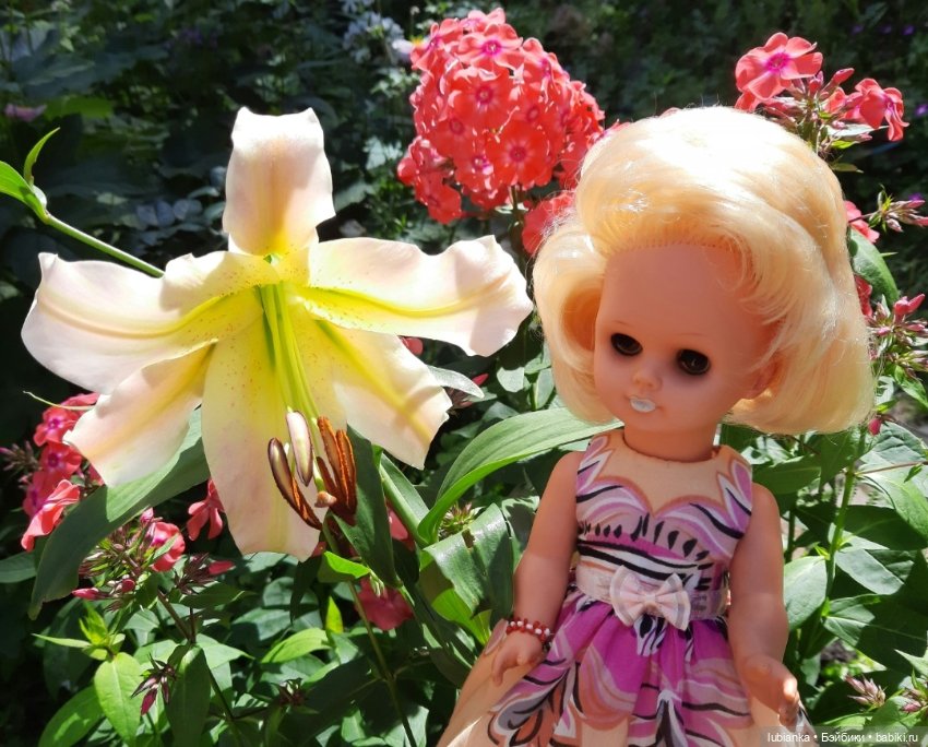 Белла (листая летние фото)