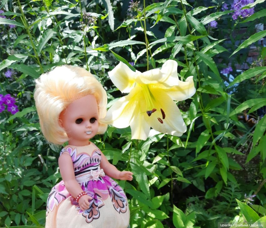 Белла (листая летние фото)