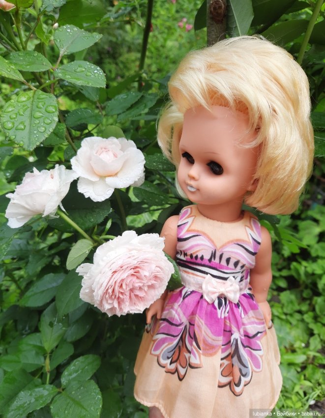 Белла (листая летние фото)