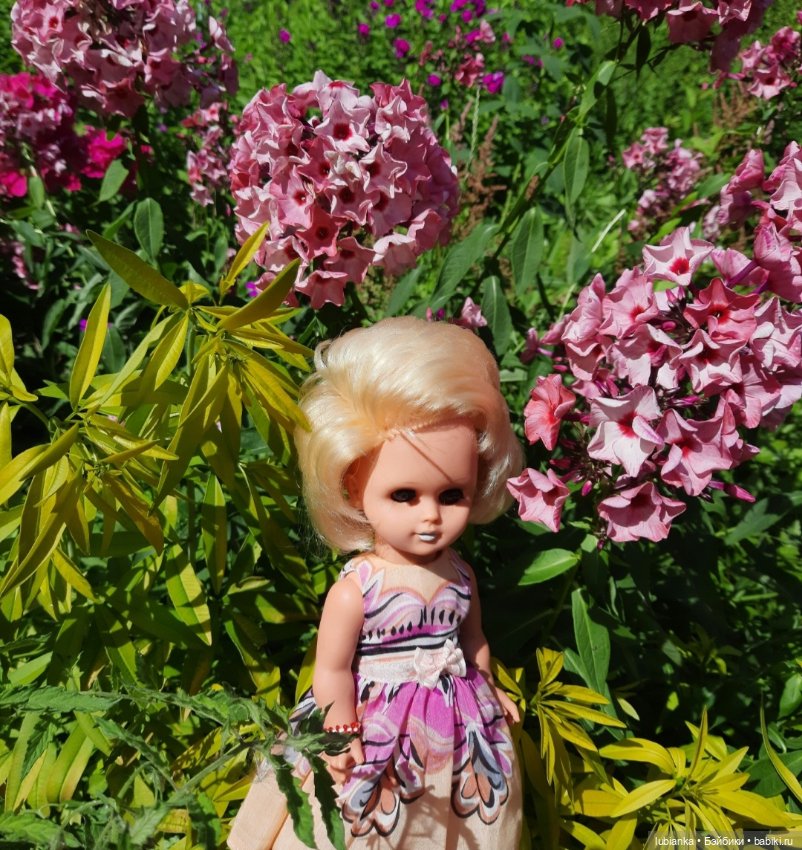 Белла (листая летние фото)