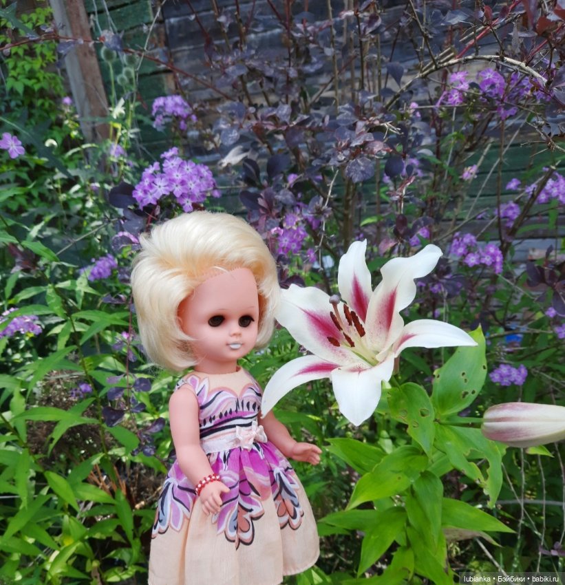 Белла (листая летние фото)