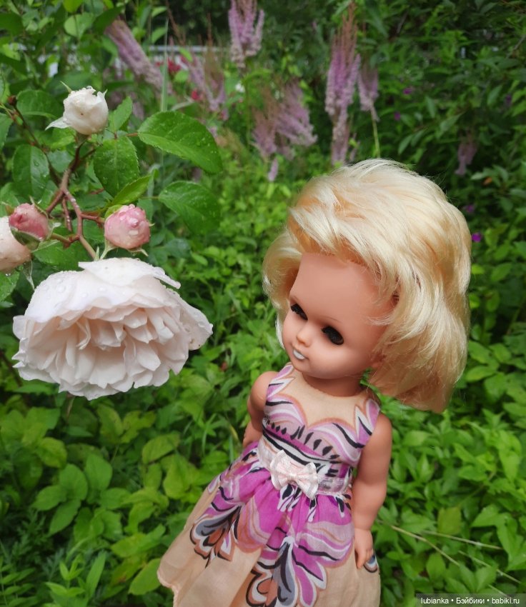 Белла (листая летние фото) (фото 6)