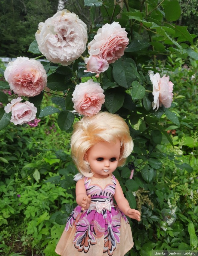 Белла (листая летние фото) (фото 9)