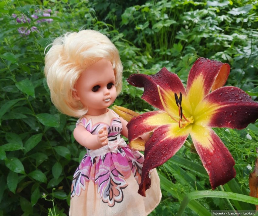 Белла (листая летние фото) (фото 3)