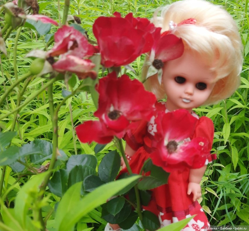 И снова Белла (ещё раз листаю летние фото) (фото 6)