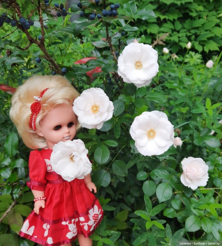 И снова Белла (ещё раз листаю летние фото) (фото 2)