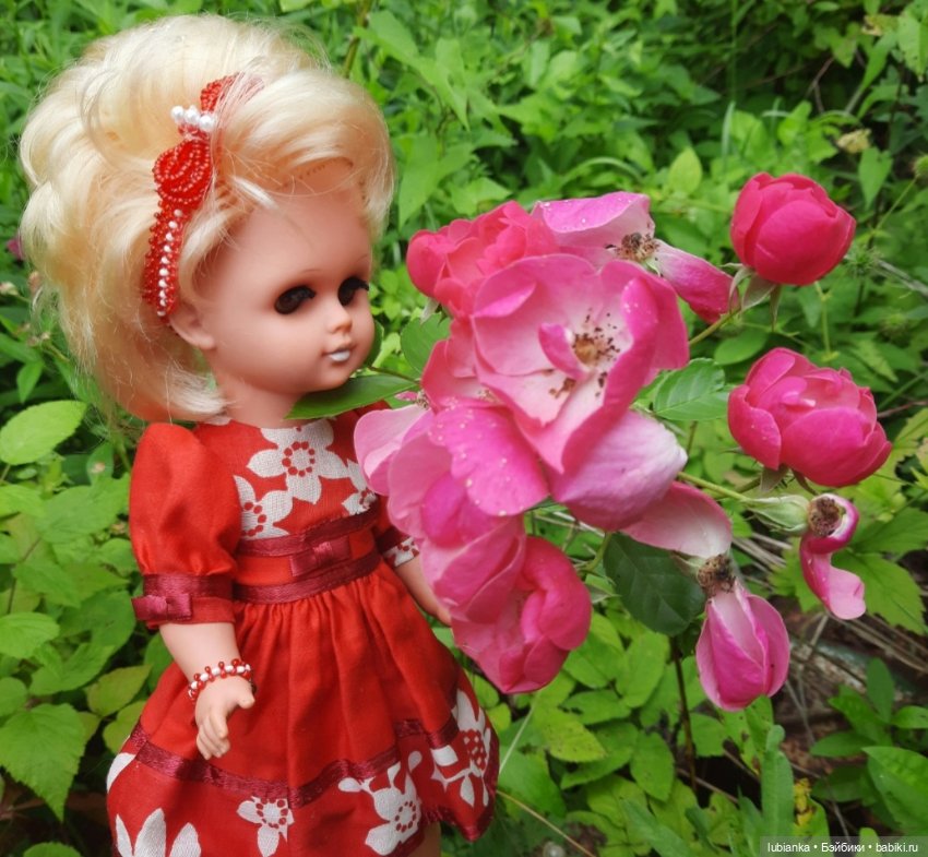 И снова Белла (ещё раз листаю летние фото) (фото 4)