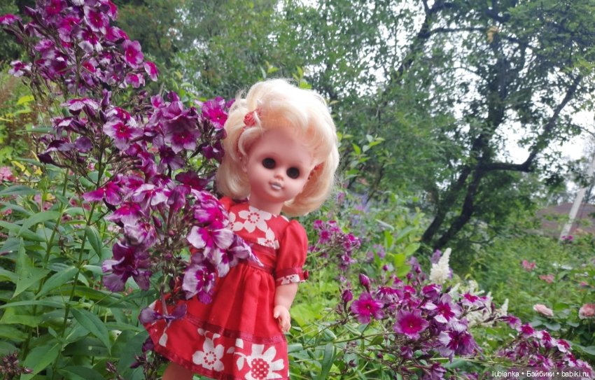 И снова Белла (ещё раз листаю летние фото)