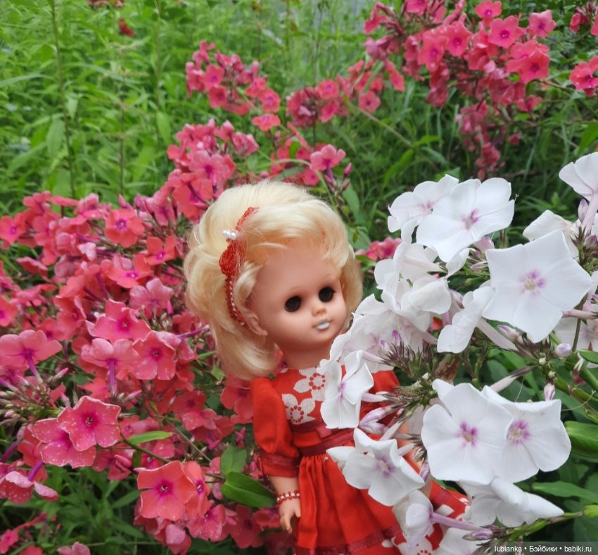 И снова Белла (ещё раз листаю летние фото)