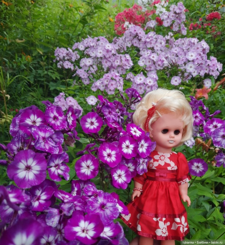 И снова Белла (ещё раз листаю летние фото)