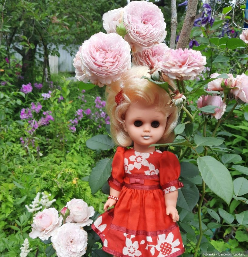 И снова Белла (ещё раз листаю летние фото) (фото 3)