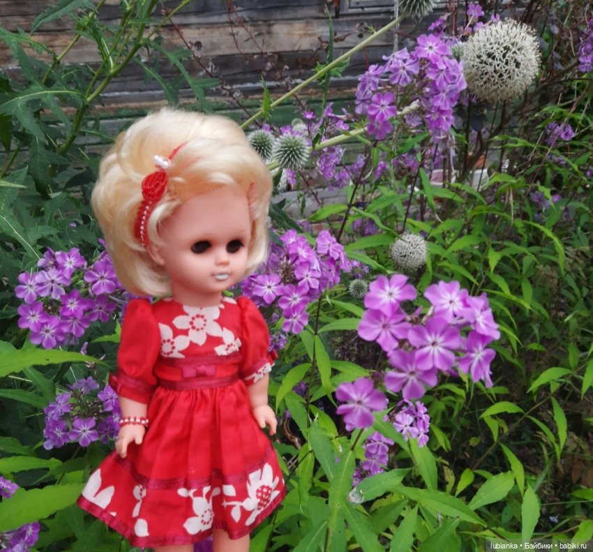 И снова Белла (ещё раз листаю летние фото)