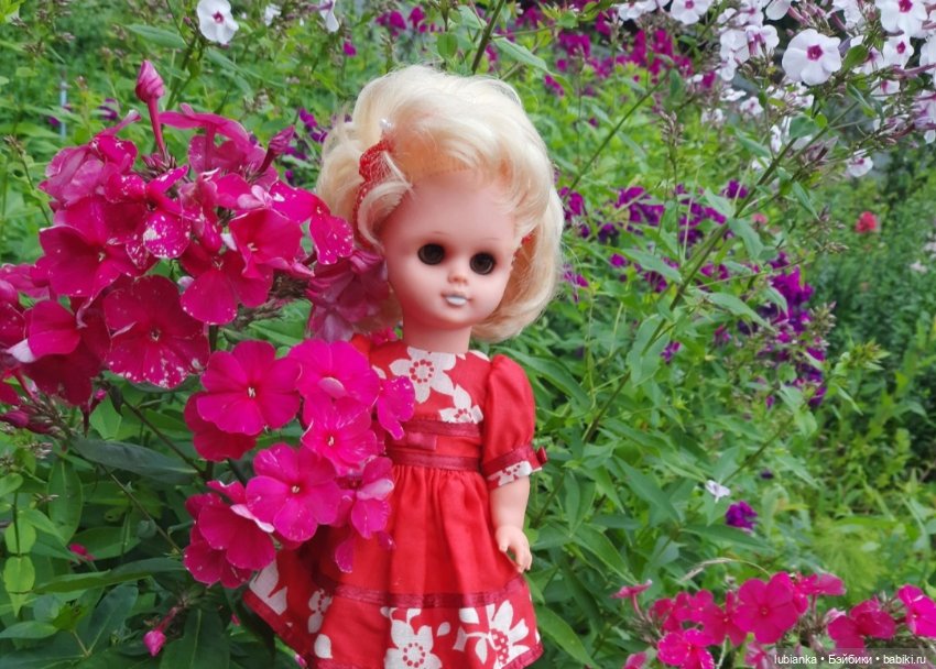 И снова Белла (ещё раз листаю летние фото)