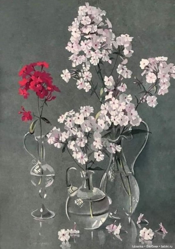 И снова Белла (ещё раз листаю летние фото)