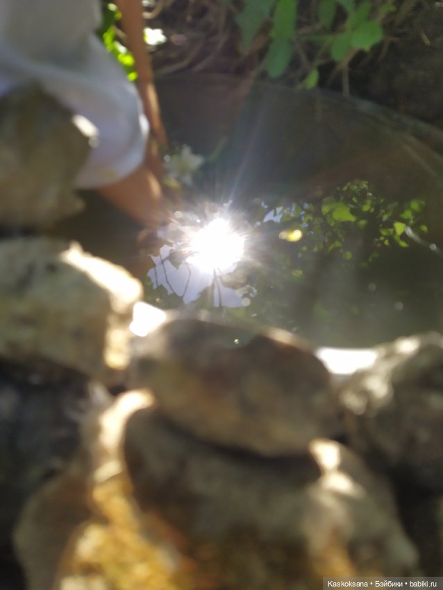 Лесная заводь — Мастер