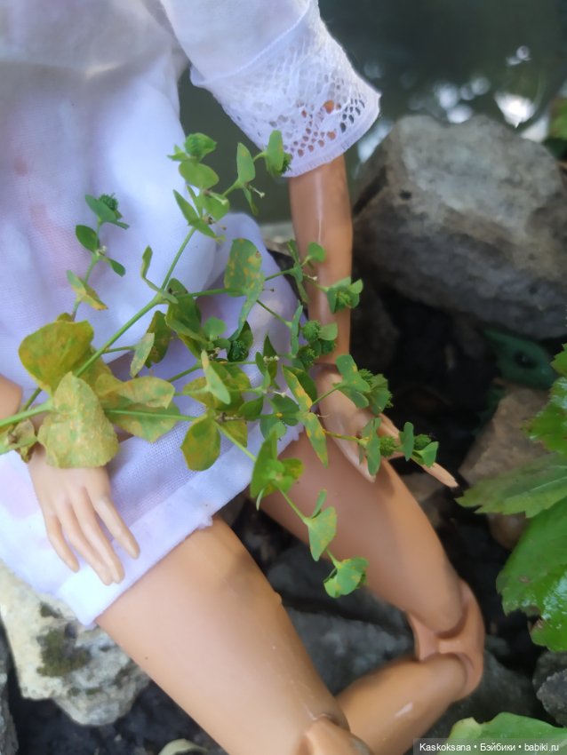 Лесная заводь — Мастер