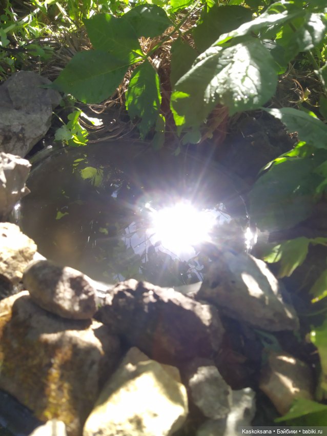 Лесная заводь — Мастер (фото 3)