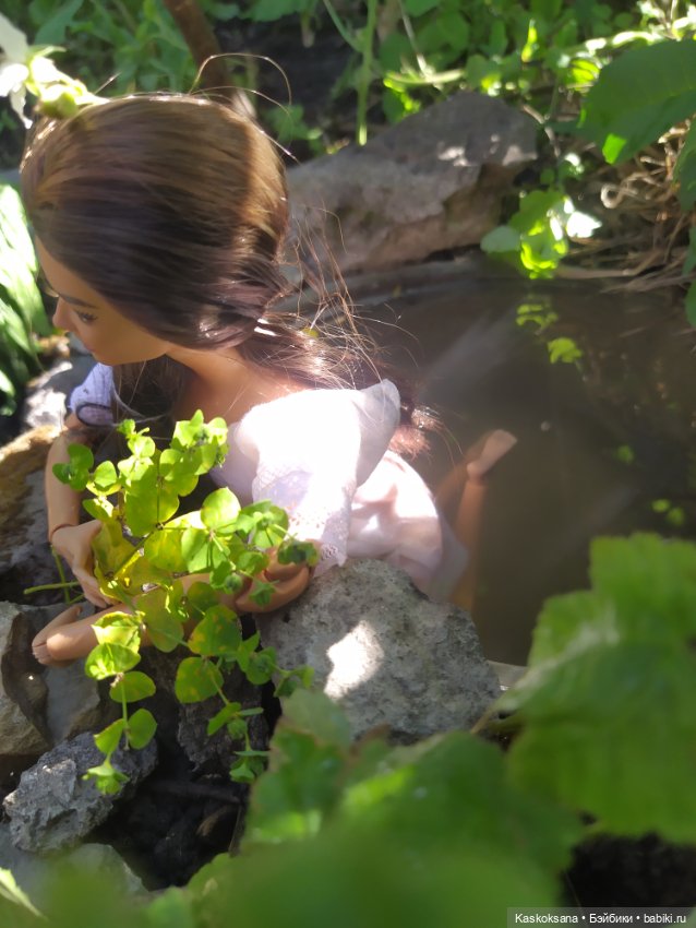 Лесная заводь — Мастер