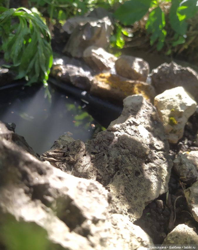 Лесная заводь — Мастер (фото 4)