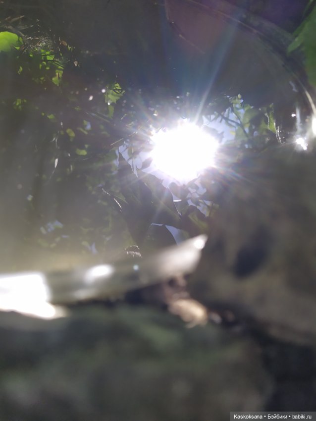 Лесная заводь — Мастер (фото 2)