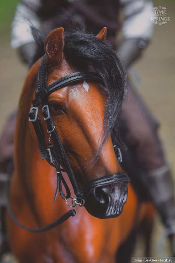 Геральт из Ривии, ведьмак