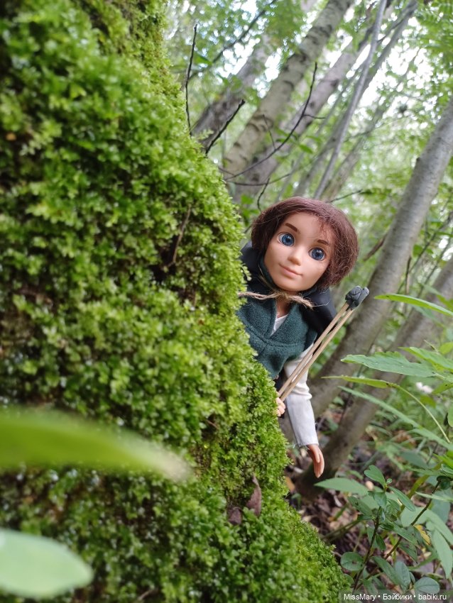 Робин из Шервуда — Аналоги Барби и куклы 1/6: клоны 90 (фото 3)