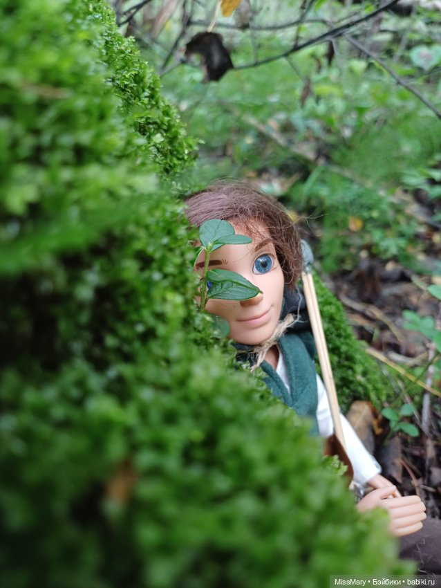 Робин из Шервуда — Аналоги Барби и куклы 1/6: клоны 90 (фото 2)
