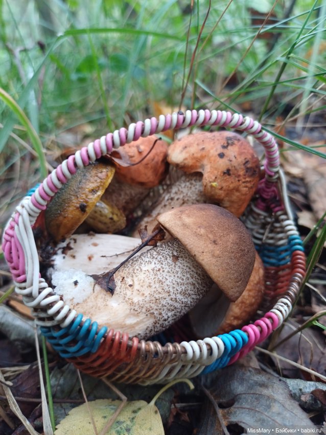 Веселые картинки. "Кто молодЕц? Увэ - молодЕц!!!"