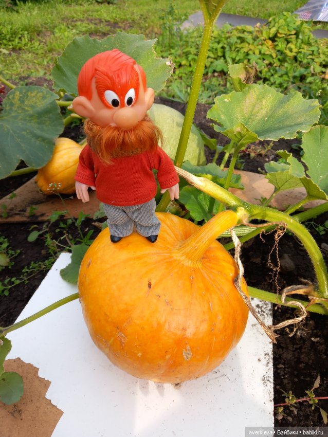 Базиль — Винтажные куклы ГДР (Немки): Бигги (фото 9)