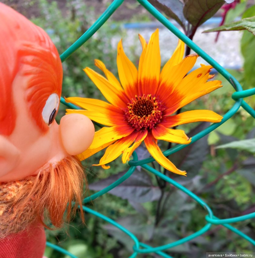 Базиль — Винтажные куклы ГДР (Немки): Бигги