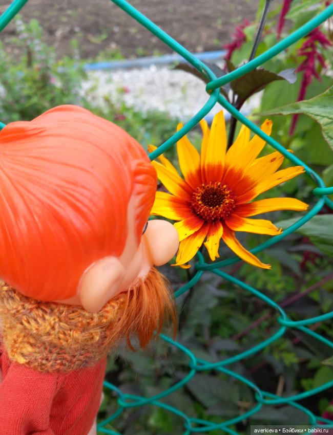 Базиль — Винтажные куклы ГДР (Немки): Бигги